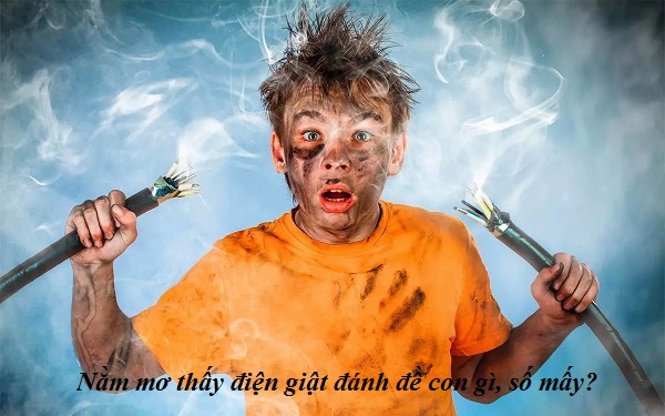 Nằm mơ thấy điện giật đánh đề con gì, số mấy?