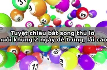 Kinh nghiệm nuôi lô theo khung 2 ngày